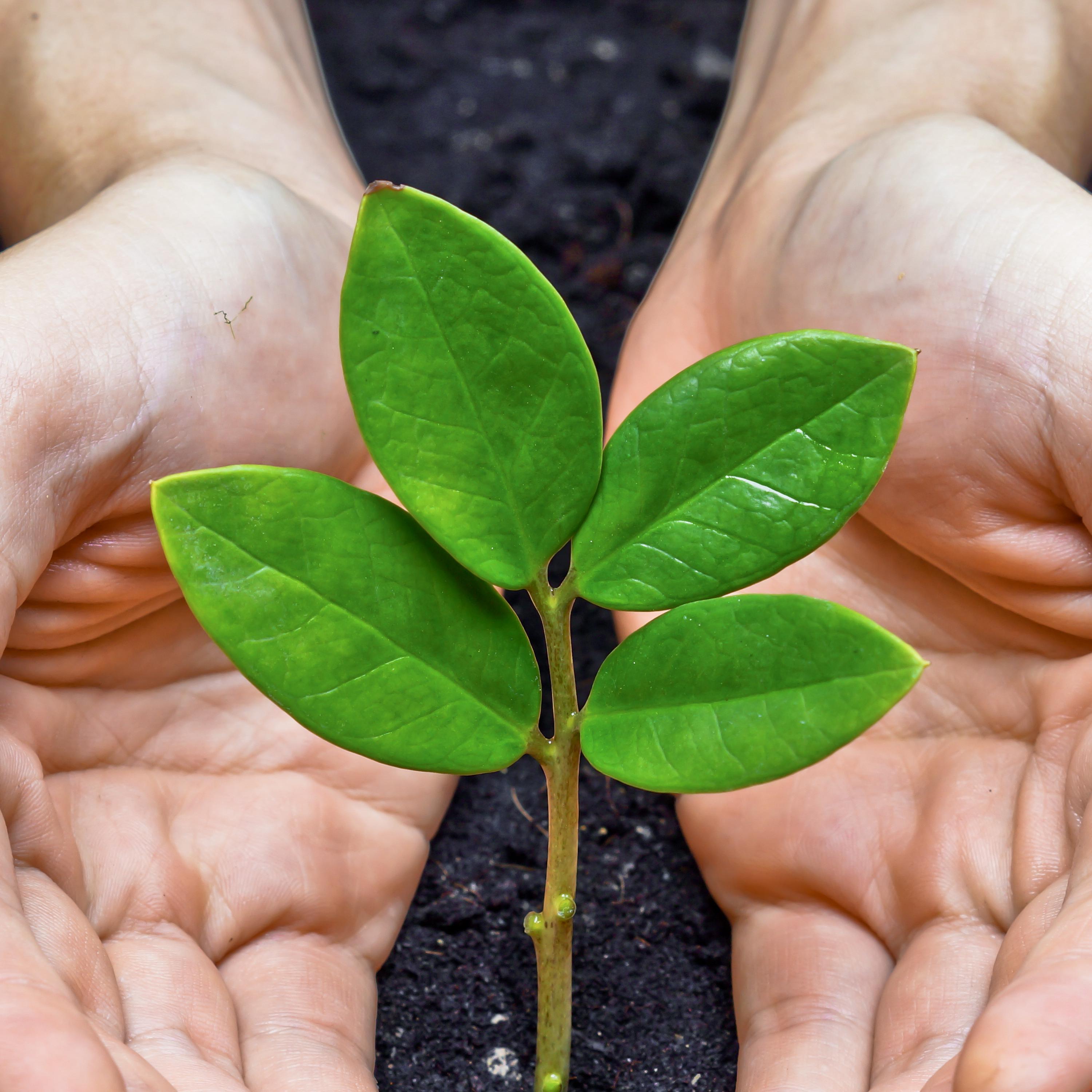 One-earth<br/>保护地球